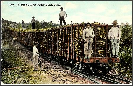 /images/imgs/america/cuba/cuba-0004.jpg - Train Load of Sugarcane