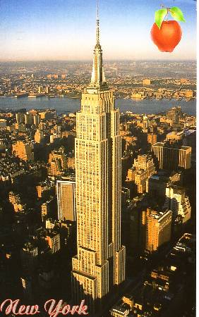 /images/imgs/america/united-states/new-york/new-york-0006.jpg - Empire State Building