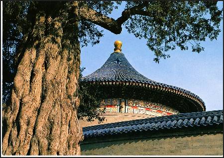 /images/imgs/asia/china/temple-of-heaven-0005.jpg - Tiantan Park