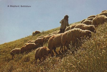 /images/imgs/asia/israel/bethlehem-18.jpg - A Shepherd